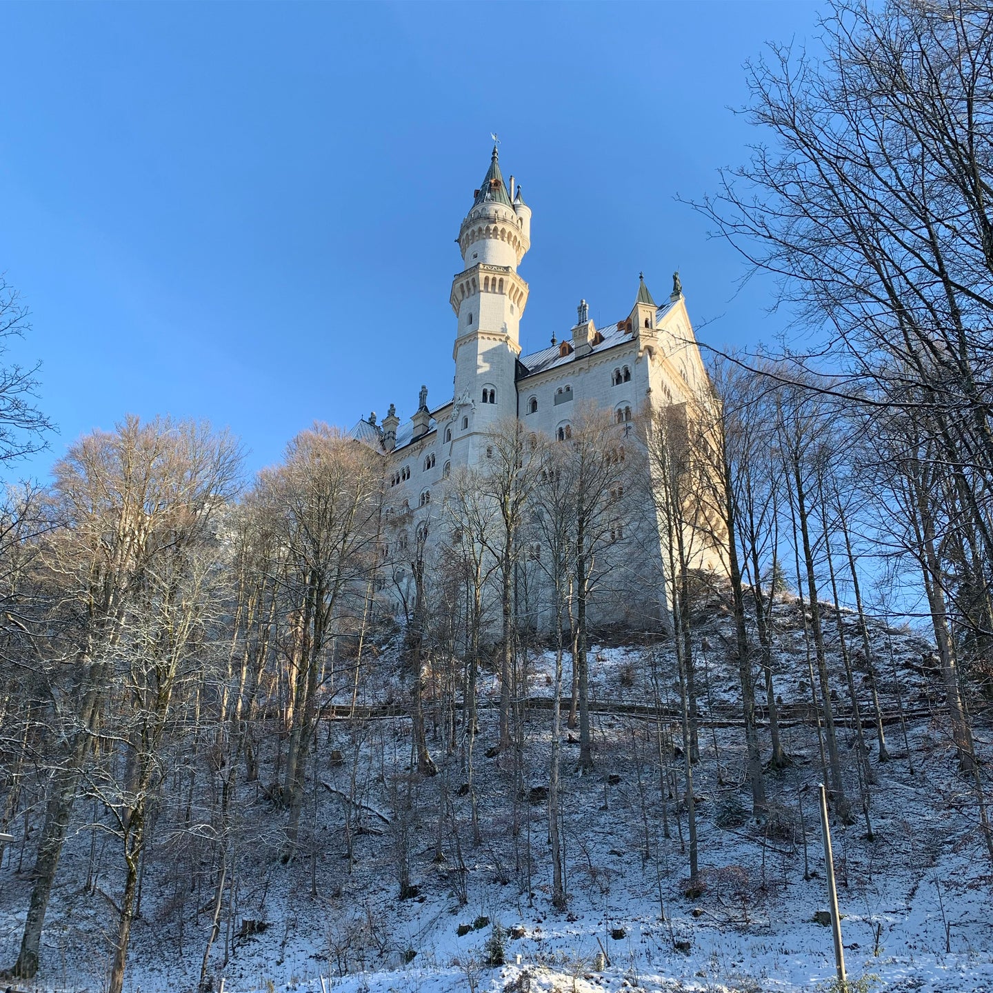 photo of Neuschwanstein castle in Bavaria, Germany, a beautiful castle of white and gold on a hill surrounded by snow and bare trees