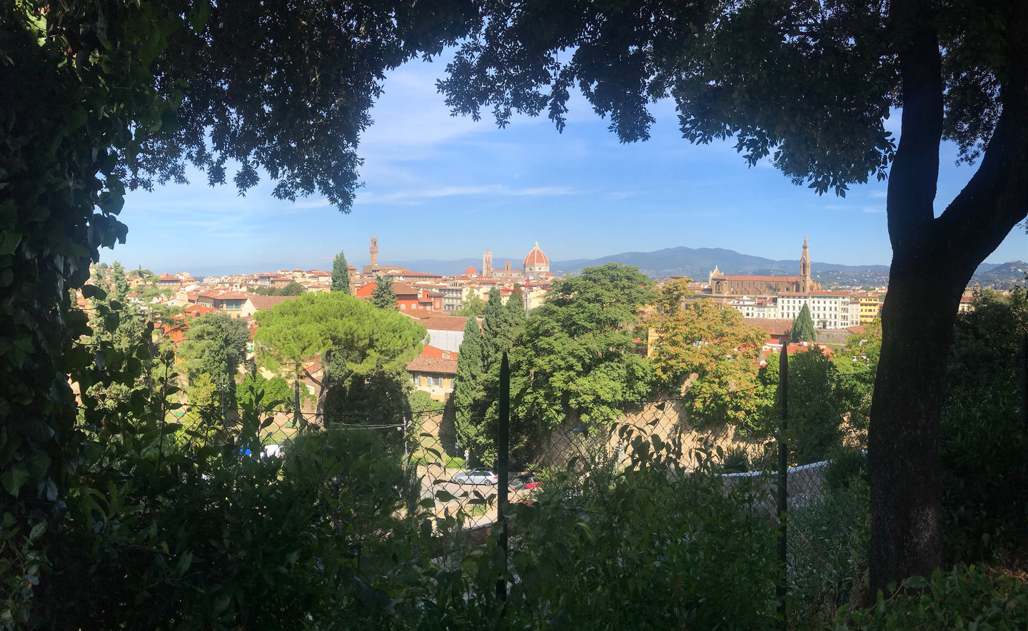 photo of Florence from a distance framed by trees, the tops of the buildings peaking up towards the sky while the round tower of the duomo sits to the left of centre 